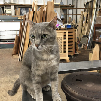 やっちーのページ Yamap ヤマップ