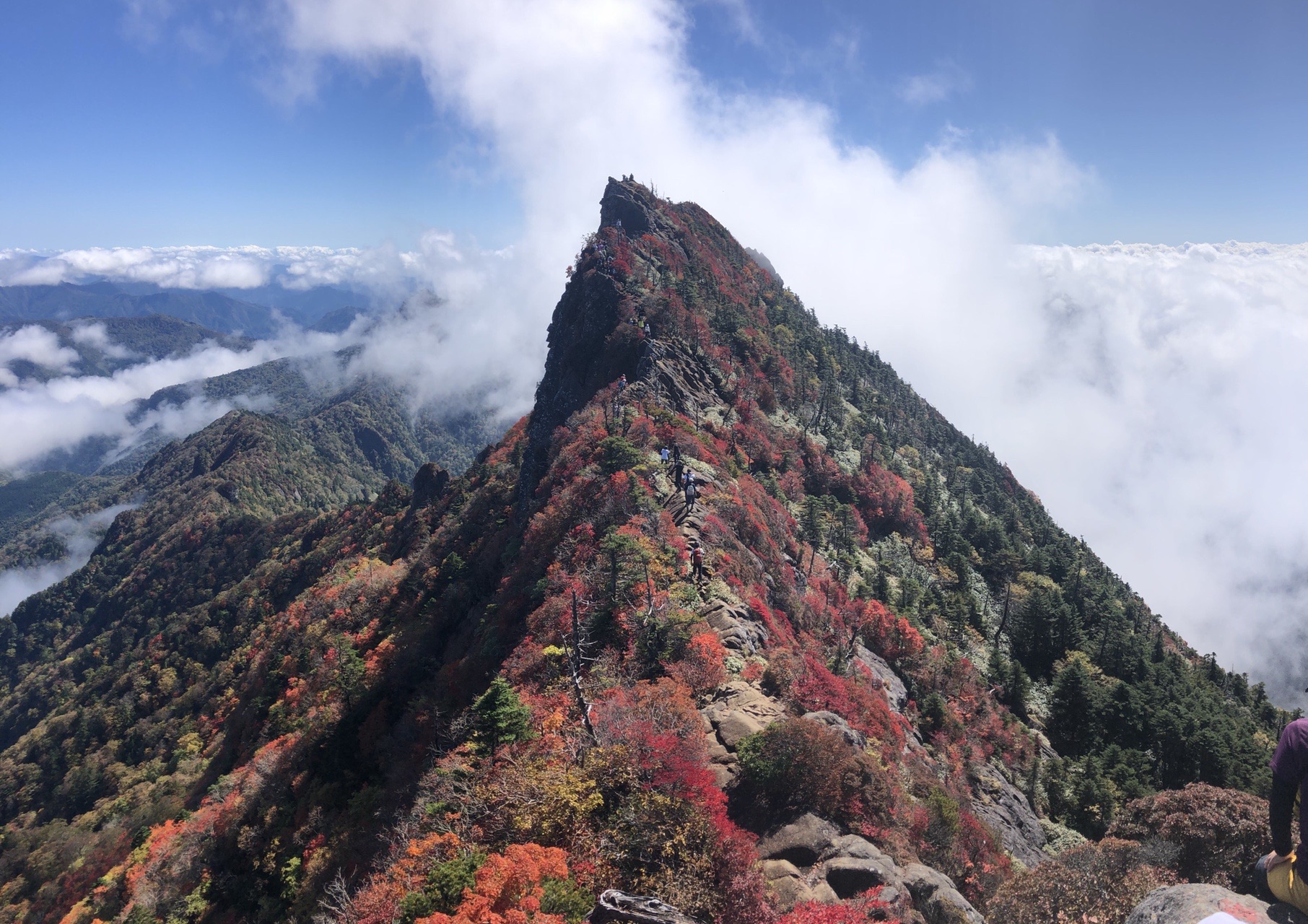 紅葉 の石鎚山 天狗岳 南尖峰 すぎちゃん Vさんの石鎚山 堂ヶ森 二ノ森の活動データ Yamap ヤマップ