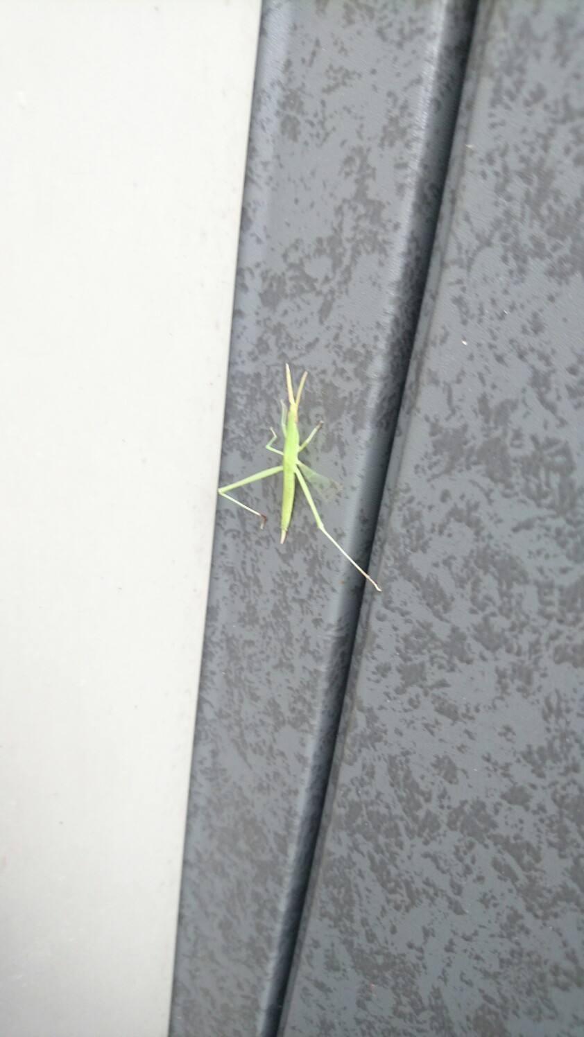 只それだけの事 Toshiyaさんの 公式 福岡市 防災情報含む の活動日記 Yamap ヤマップ