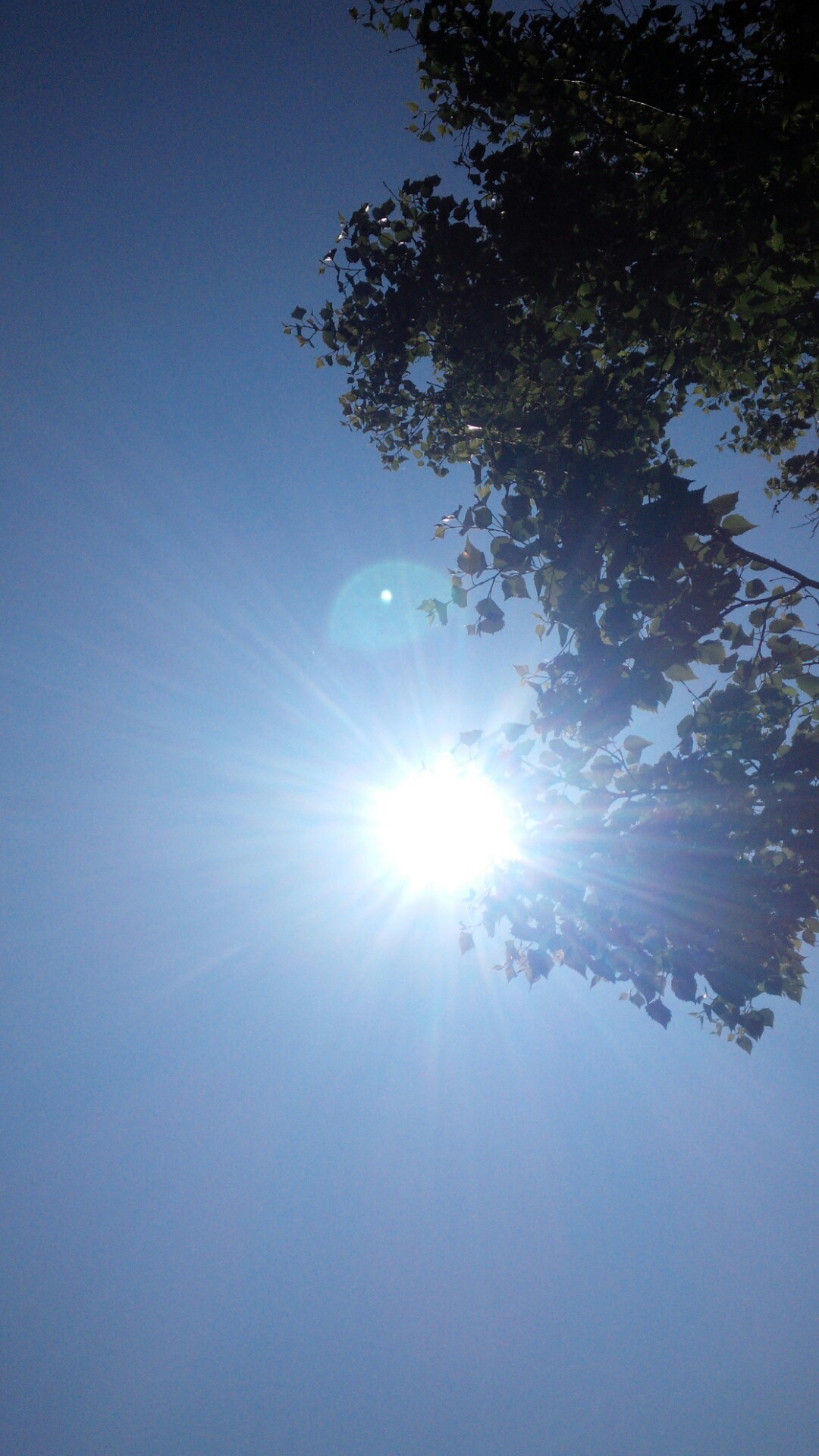 カムイヌプリ登山 Takanoriさんの鷲別岳 室蘭岳 カムイヌプリの活動日記 Yamap ヤマップ