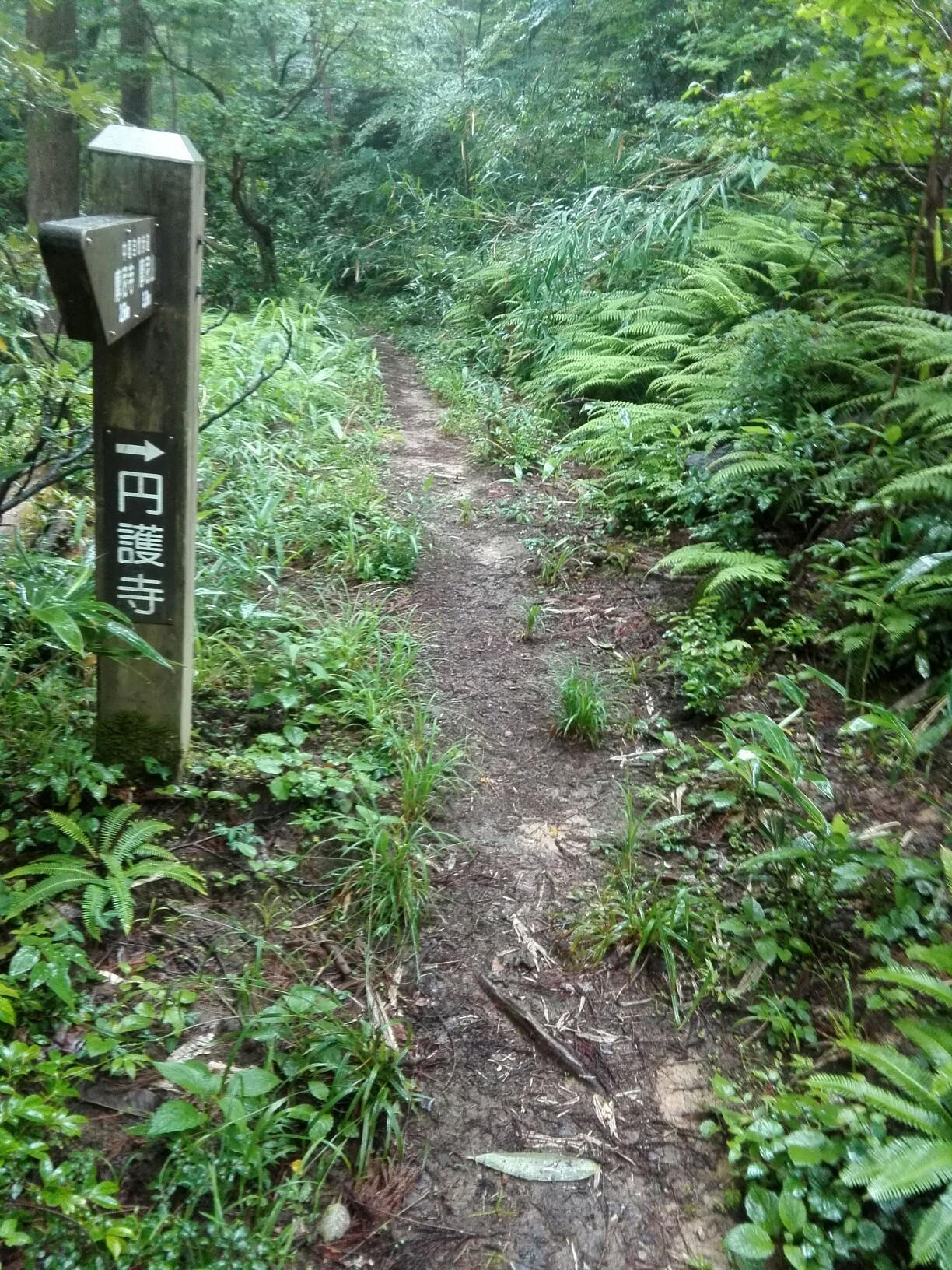 久松山 円護寺 高聾山 クレー射撃場 等々 Ryujiさんの鳥取市の活動日記 Yamap ヤマップ