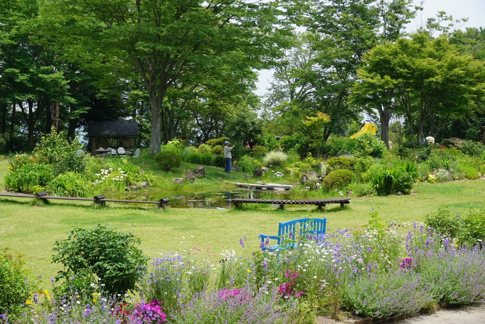 空いた時間でお花見しましょ 泉ボタニカルガーデン Hichanさんの仙台市の活動データ Yamap ヤマップ