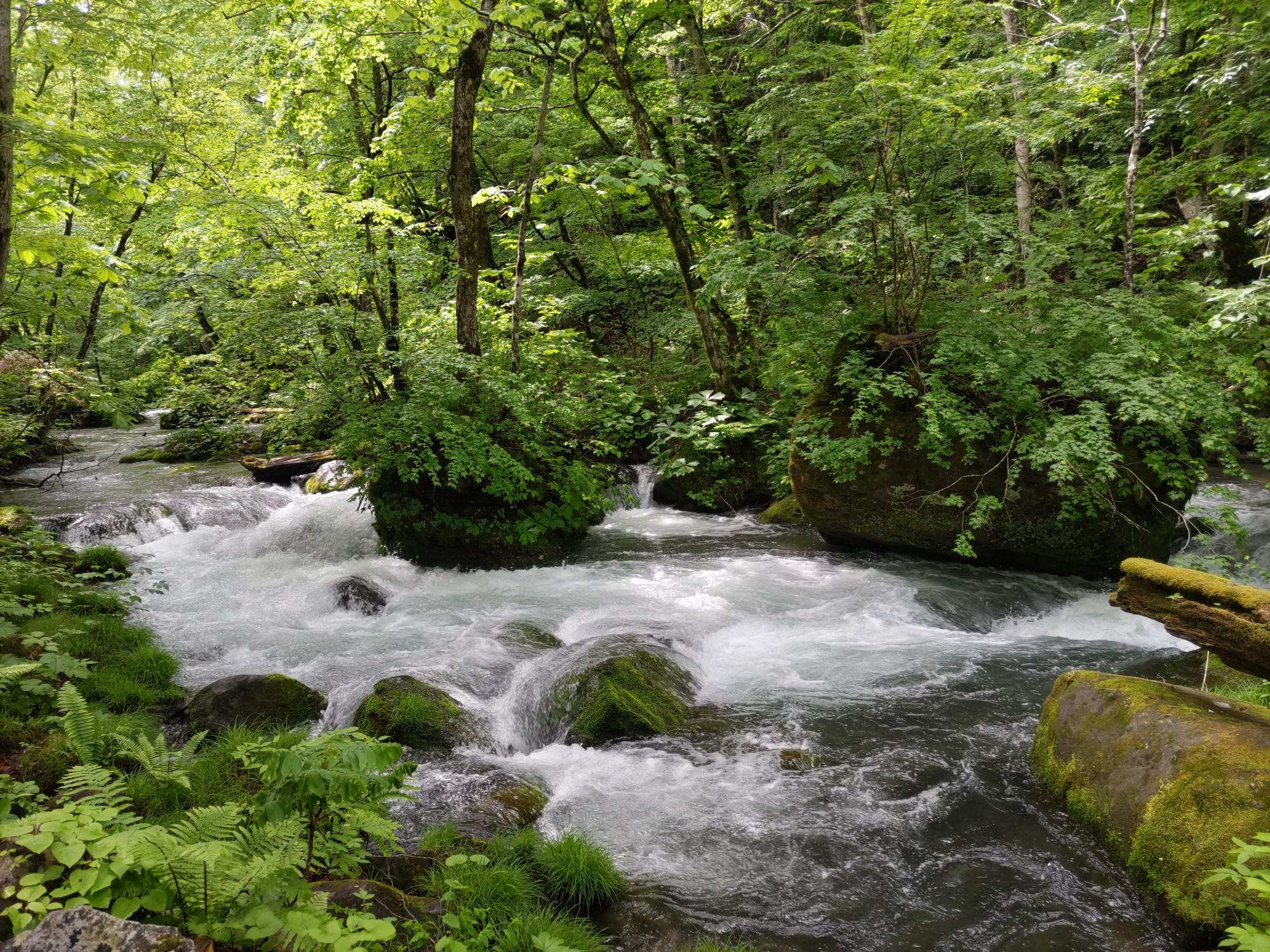 奥入瀬 1/fの世界 奥入瀬渓流 / まふさんの奥入瀬渓流の活動データ