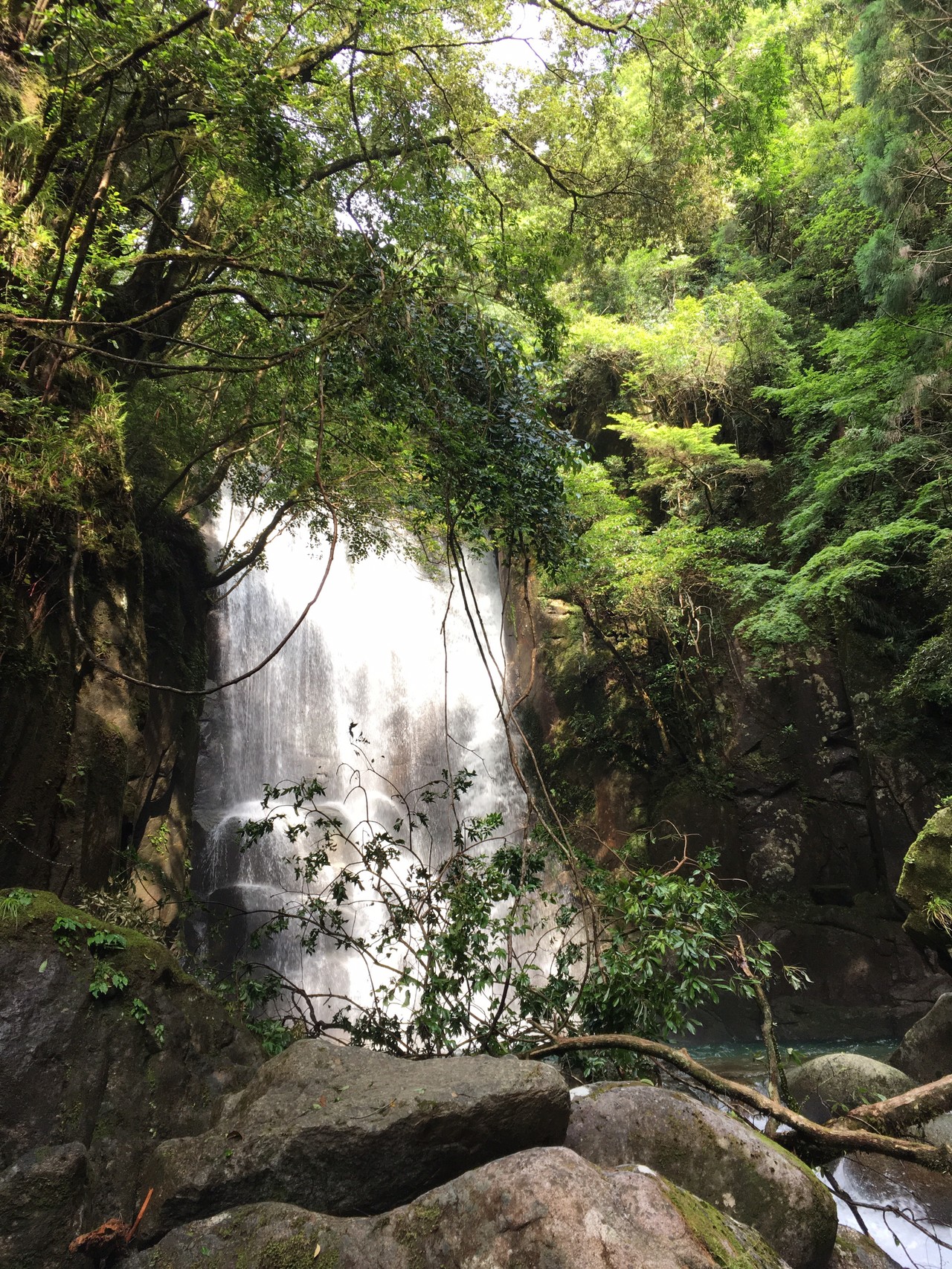 桑の木の滝 新宮市 みっちゃんさんの熊野川その2 三和大橋 熊野大橋 の活動データ Yamap ヤマップ