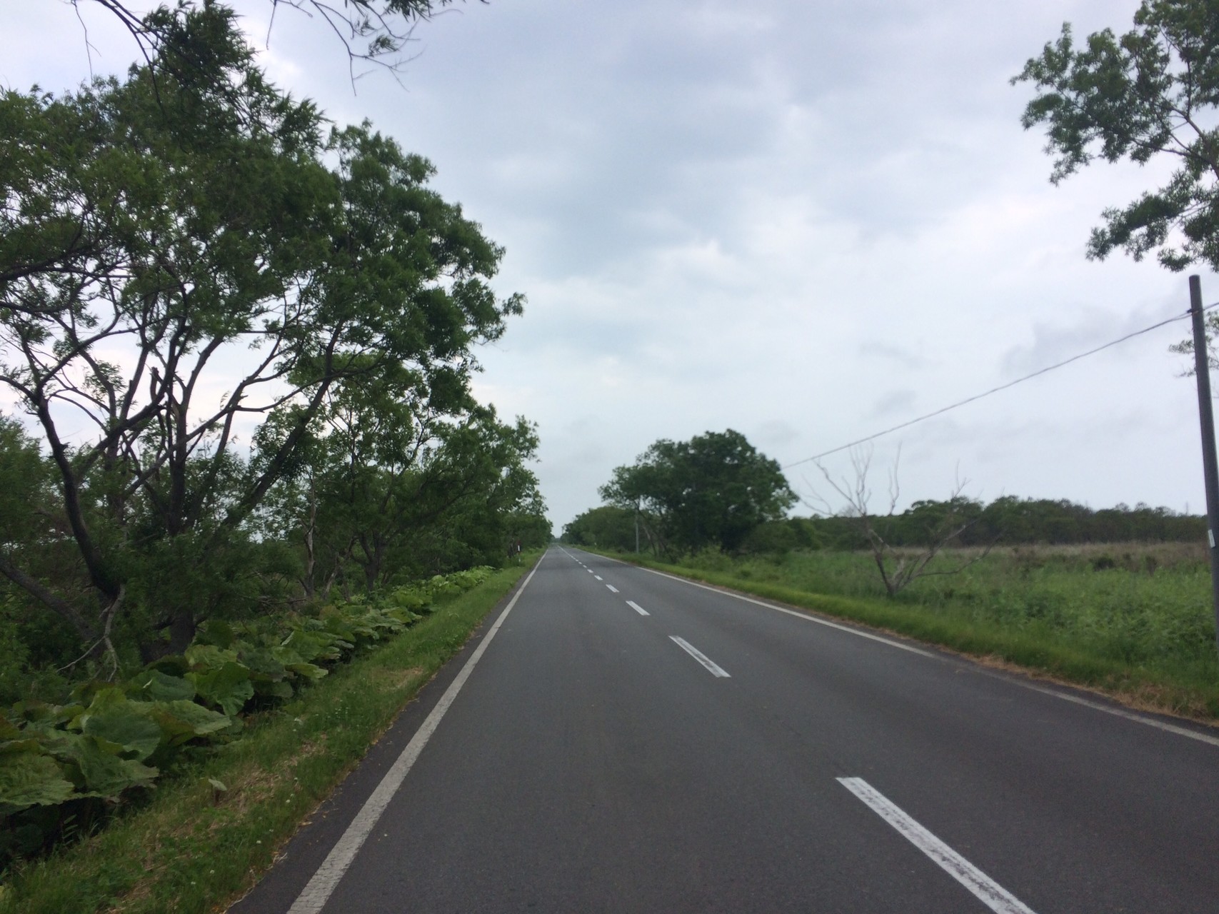 釧路阿寒自転車道 湿原の夢ロード 攻略 ひさぽんさんの釧路市の活動日記 Yamap ヤマップ