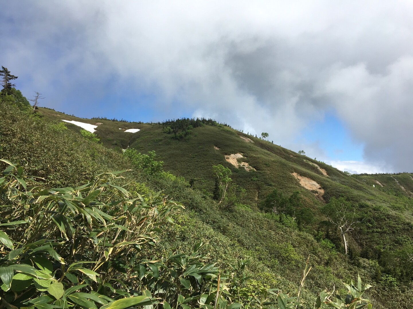 最悪の百名山は 最高の百名山でした 平ヶ岳 台倉山 池ノ岳の写真28枚目 Yamap ヤマップ