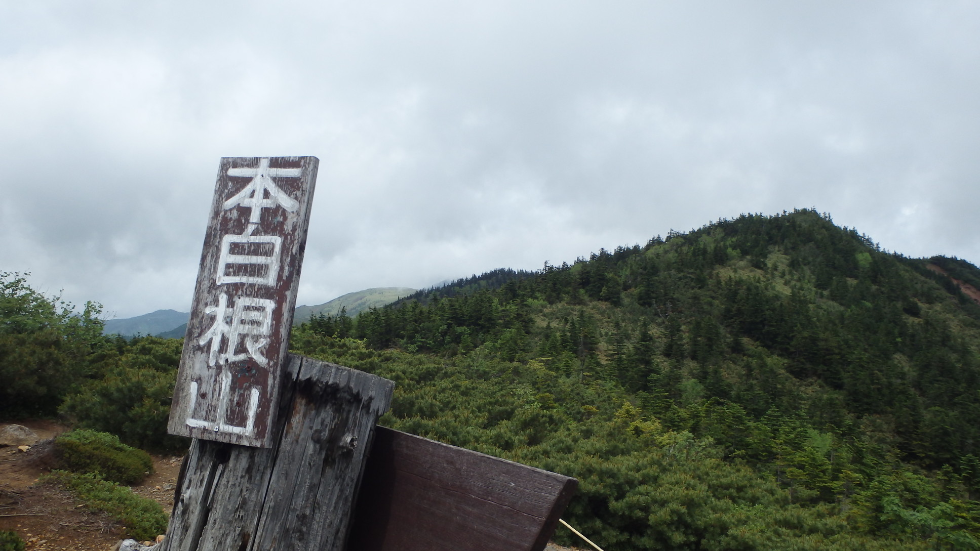 草津白根山へ コマクサが見頃 山頭克さんの草津白根山 湯釜の活動データ Yamap ヤマップ