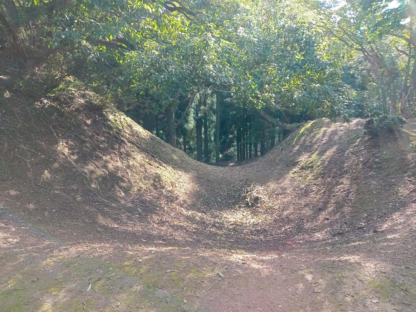菅山寺を訪ねたあと、時間があったので玄蕃... / 1CHROさんのモーメント YAMAP / ヤマップ