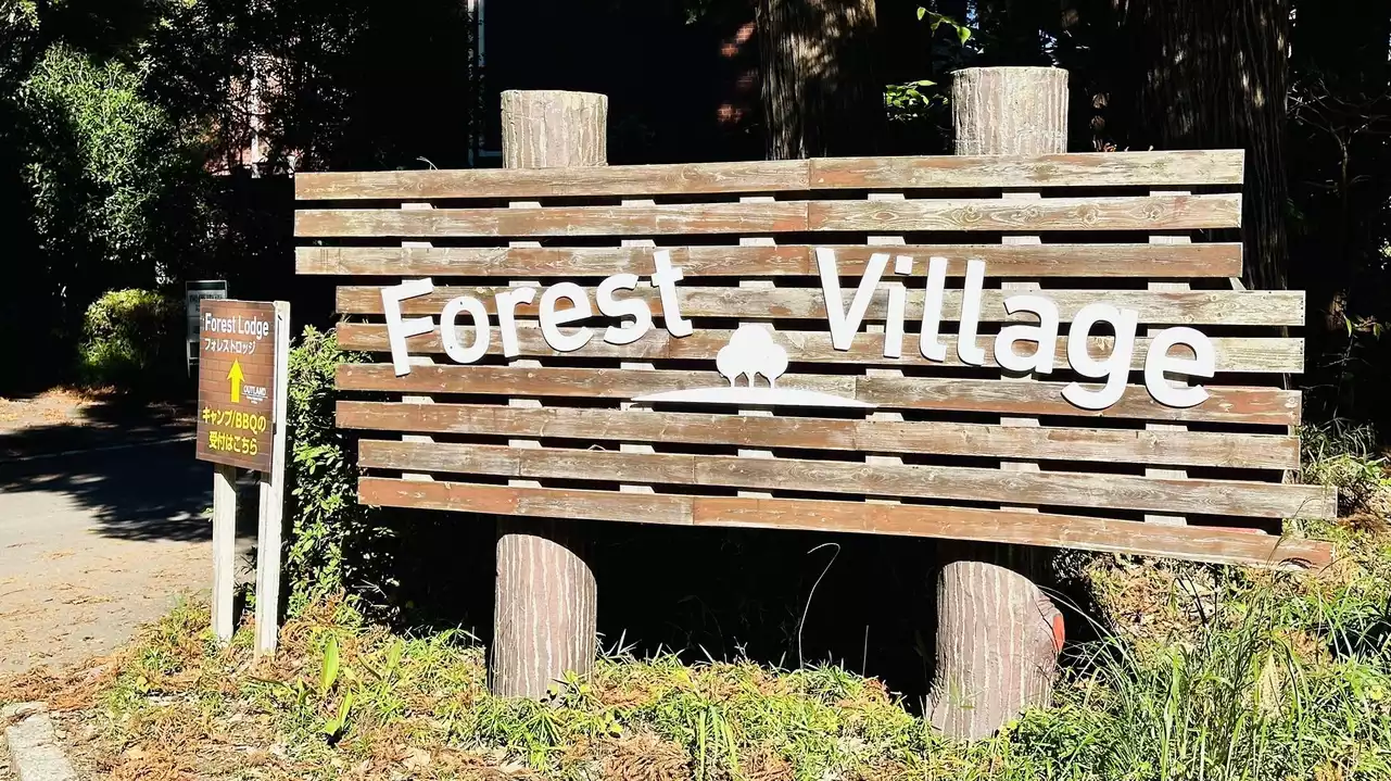 デイキャンプで山テント⛺️デビュー!/千葉市昭和の森 デイキャンプで山テント⛺️デビュー!/千葉市昭和の森