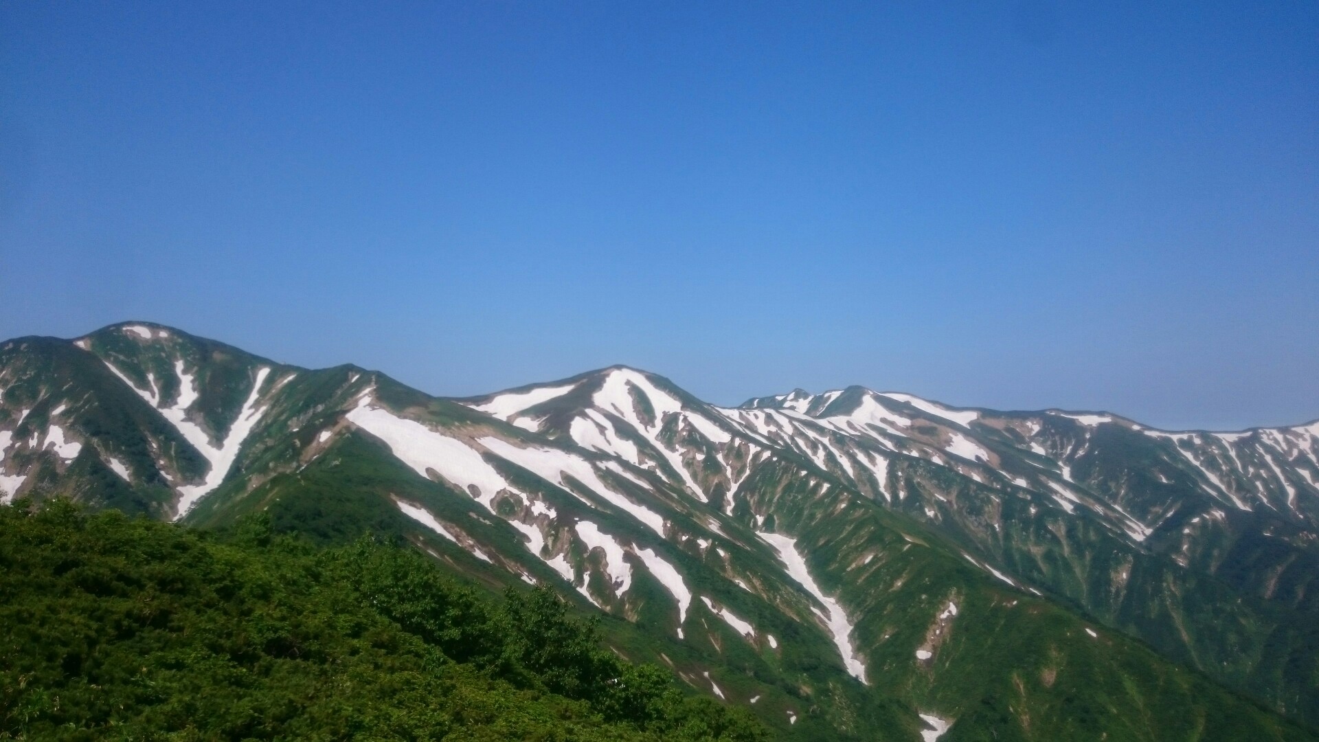 日暮沢小屋からヒメサユリ咲く朝日連峰ループ ターキーさんの大朝日岳 朝日連峰 祝瓶山の活動データ Yamap ヤマップ