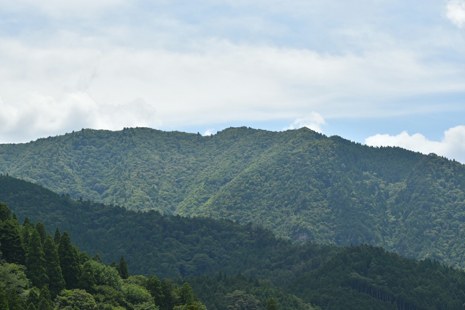 10座気にして ヒルだらけの日本コバ 鈴鹿 ライズさんの日本コバの活動データ Yamap ヤマップ