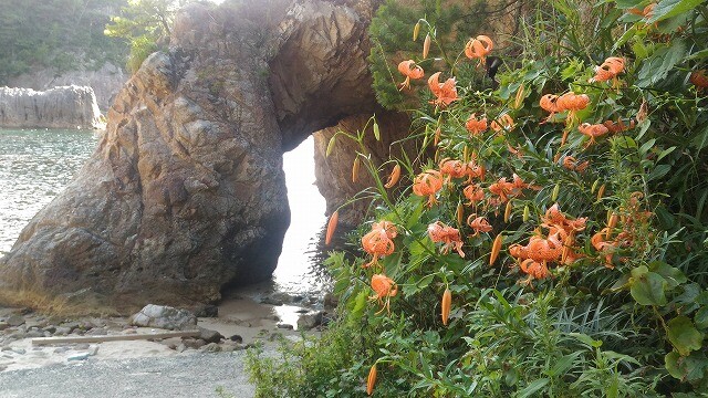 浦富海岸 と秘境の滝 猿壺の滝 を訪ねて 野うさぎ銀次郎さんの鳥取市の活動日記 Yamap ヤマップ