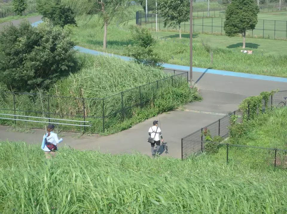 鶴見川散歩 自転車 Bushmasterさんの横浜市 北エリアの活動日記 Yamap ヤマップ