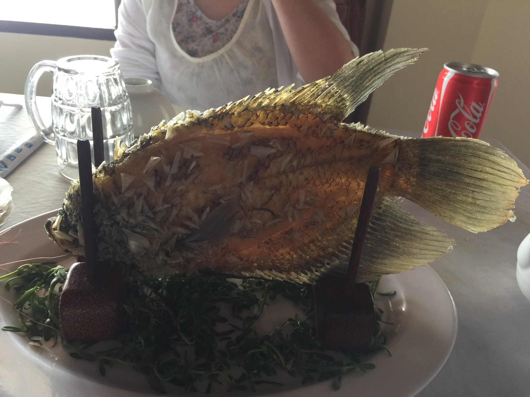 ベトナム ホーチミン 山レポではありません ゴメンなさい がっちゃんさんの紀泉アルプス 飯盛山 ボンデン山の活動日記 Yamap ヤマップ