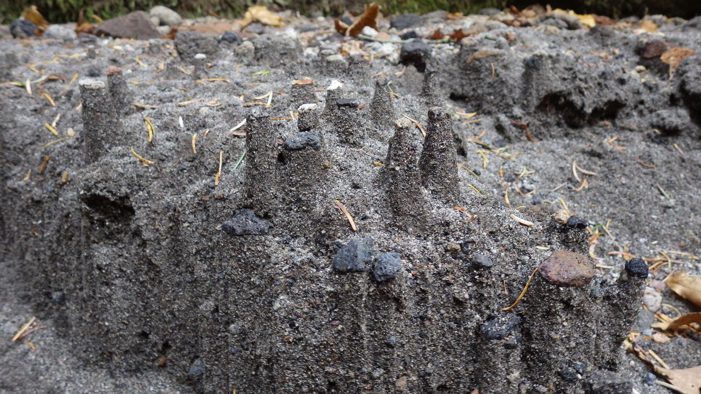 楓沢 かえでさわ もう一つの苔の洞門 れんじさんの樽前山 風不死岳の活動日記 Yamap ヤマップ