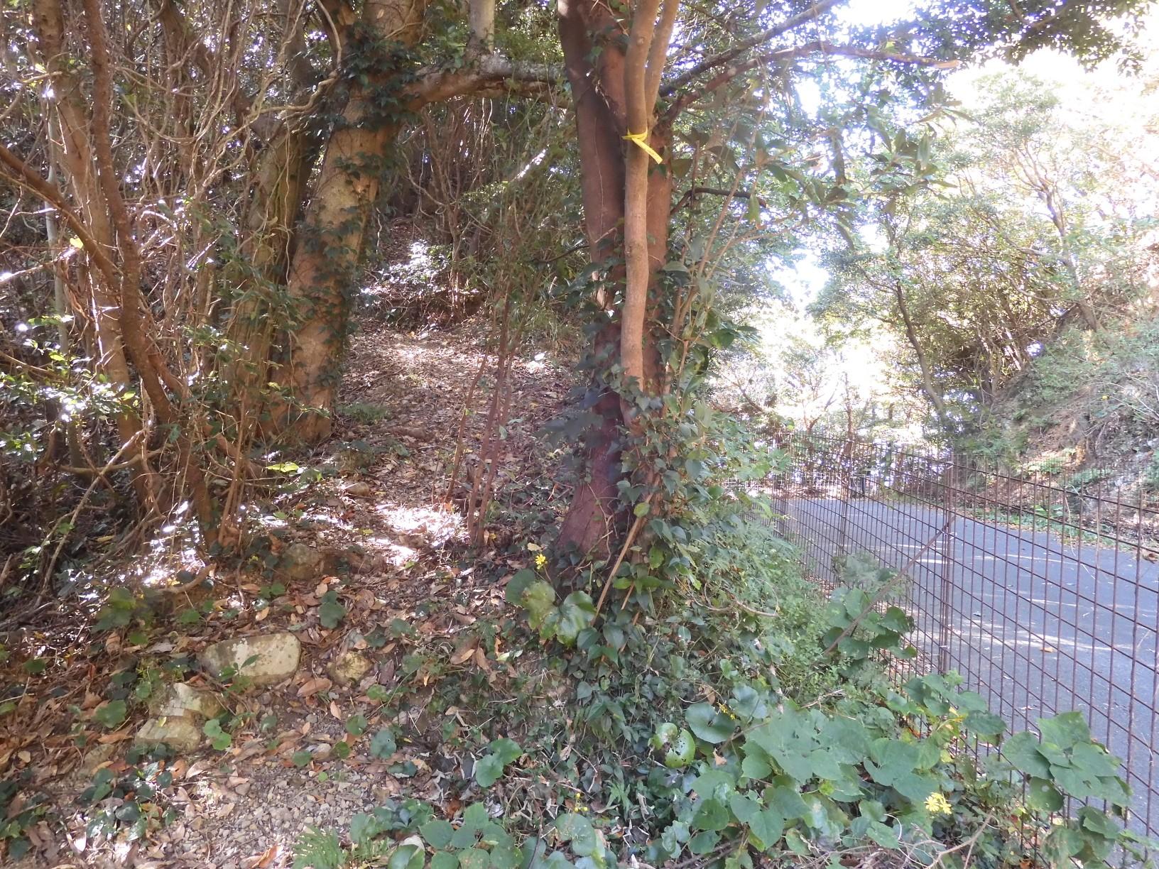 踏跡も勝手な想像よりはっきりしていた...