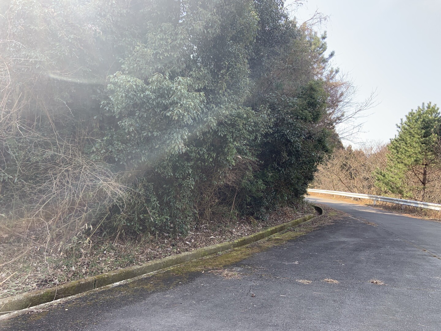 香川 檀特山 / としさんの四国遍路その1の活動データ YAMAP / ヤマップ