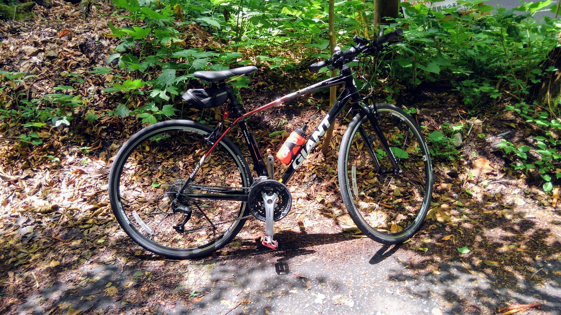 十和田湖奥入瀬渓流サイクリング ベルパパさんの十和田湖の活動データ Yamap ヤマップ