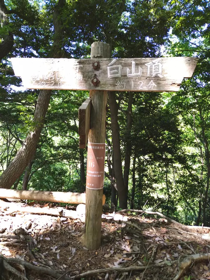 白山 神奈川県 の最新登山情報 人気の登山ルート 写真 天気など Yamap ヤマップ