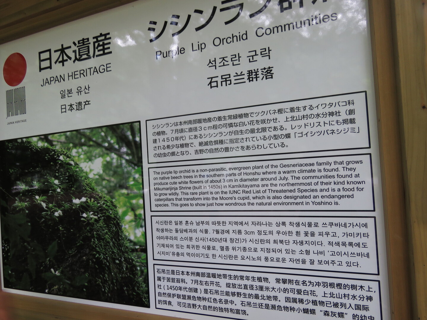 玉置山 あさぎさんの玉置山の活動日記 Yamap ヤマップ