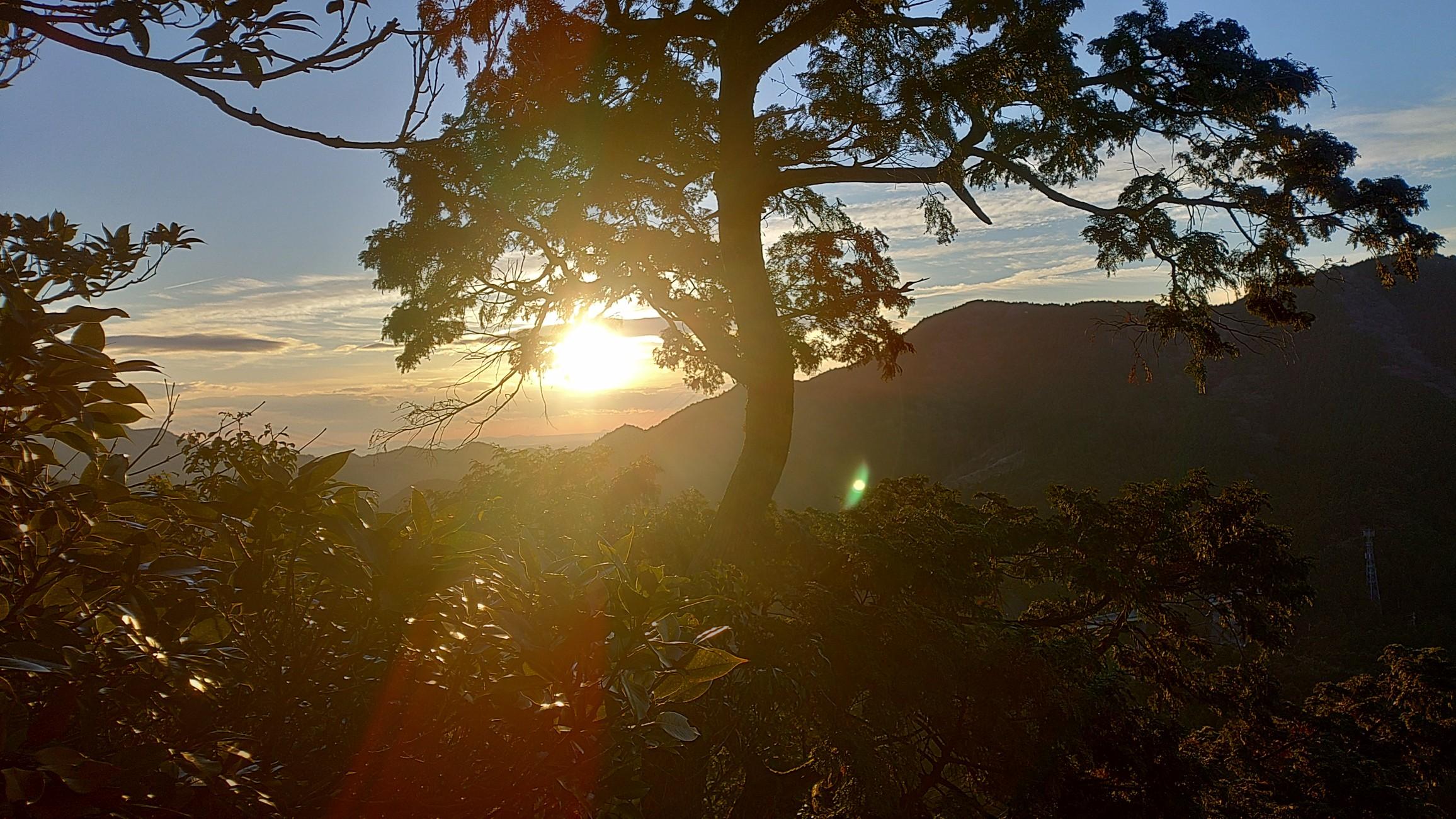 高畑山東峰・高畑山・溝干山 / ナベさんの高畑山・那須ヶ原山・油日岳の活動データ YAMAP / ヤマップ