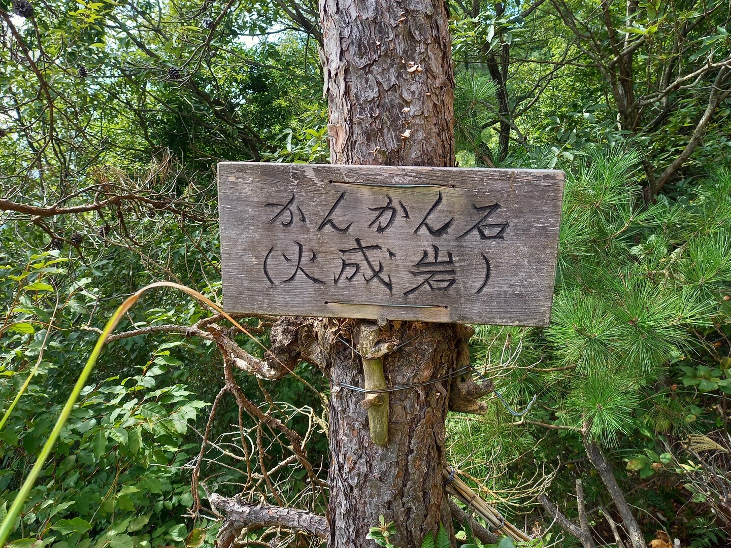 大谷山 箕浦 雲辺寺山の写真15枚目 火成岩 マグマが冷えて固まった岩石とい Yamap ヤマップ