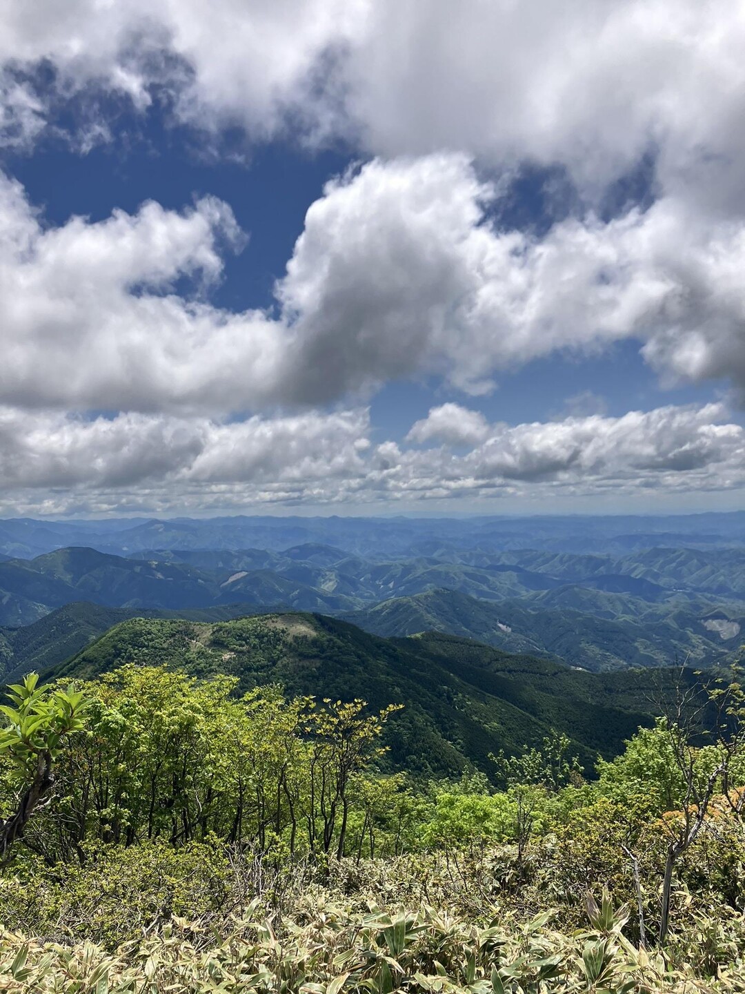 那岐山 / kazukiさんの那岐山・滝山・広戸仙の活動データ YAMAP / ヤマップ