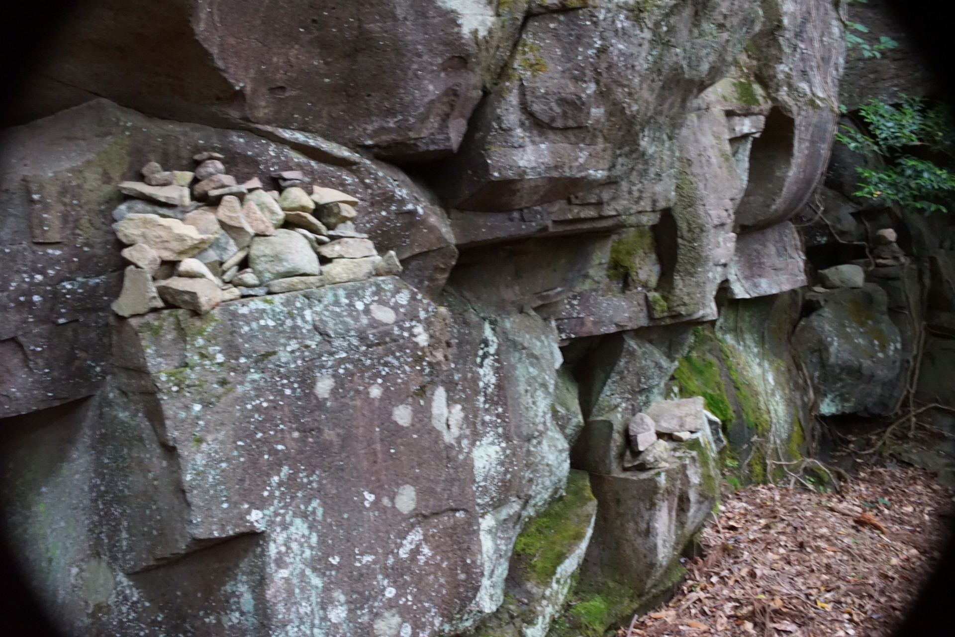 修験道の霊山 求菩提山 Tetsさんの犬ヶ岳 福岡県 大分県 求菩提山の活動日記 Yamap ヤマップ