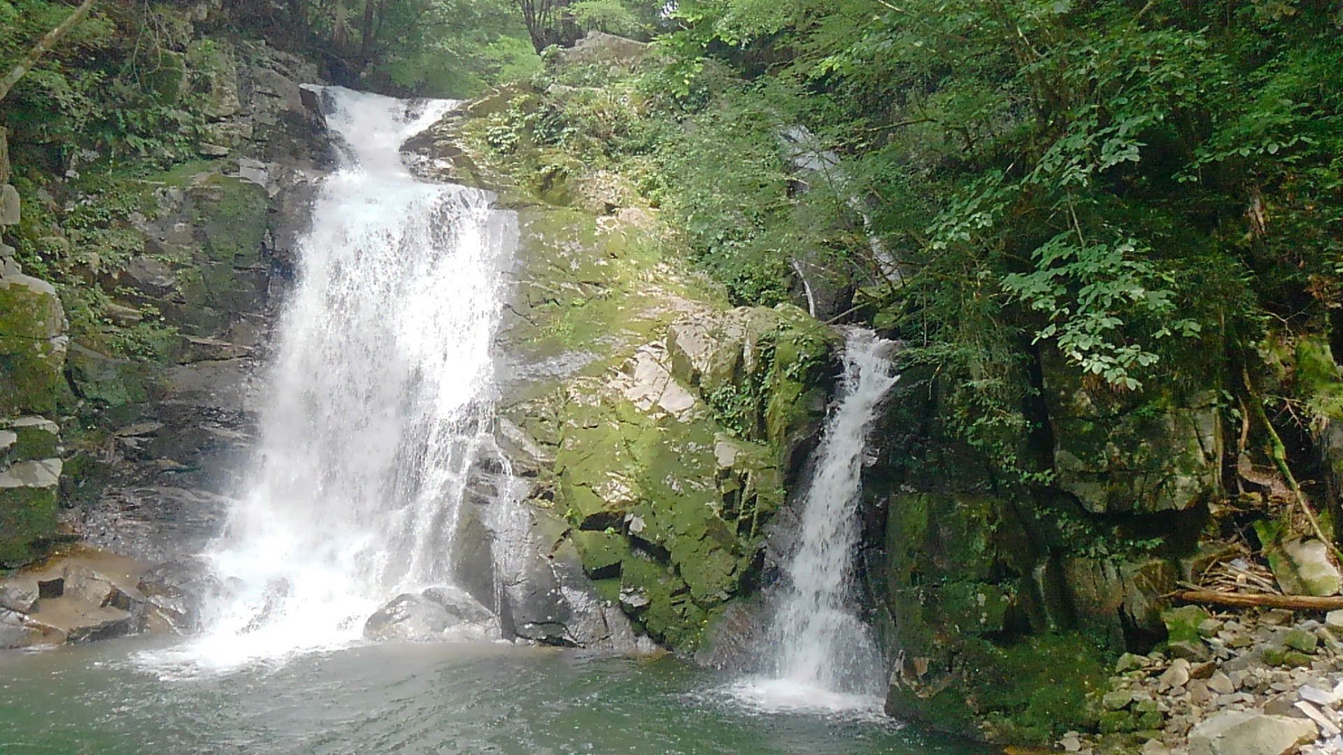 沢登 芦津渓谷北股川 8 2 8kwさんの東山 鳴滝山の活動データ Yamap ヤマップ