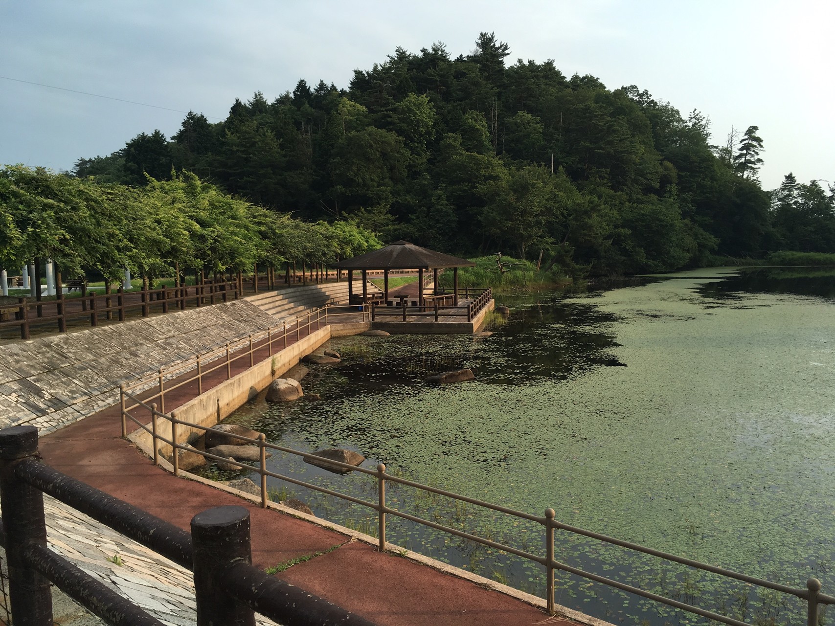 キャンプ】星空、音楽、ワインと焚火。（宇根山家族旅行村） / シンヤ 