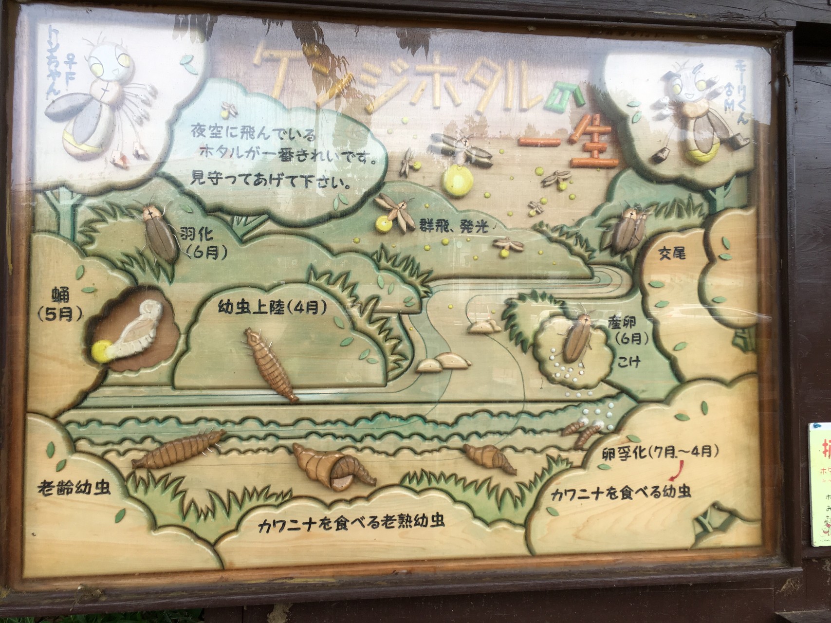 とんもり谷戸から生田緑地へ ホタルの里 せんちょうさんの東京都23区 西エリアの活動データ Yamap ヤマップ