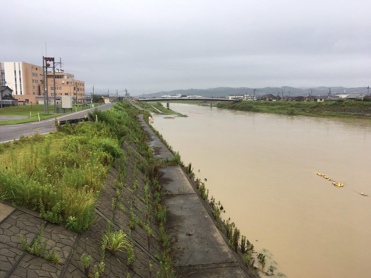 新潟 燕三条 上がりの早朝ラン でんろくさんの三条市の活動日記 Yamap ヤマップ