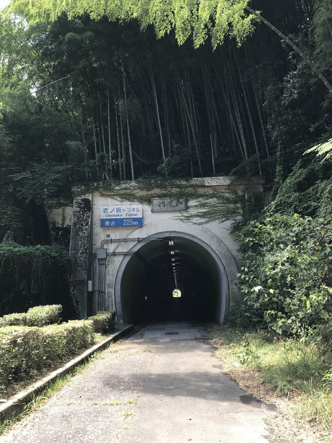 京都 心霊ｽﾎﾟｯﾄを求めて京 おとくに西山連邦 一部 を歩いてきました ポンポン山 釈迦岳 小塩山 若山の写真19枚目 モーテル サンリバー見学ためコースアウト Yamap ヤマップ