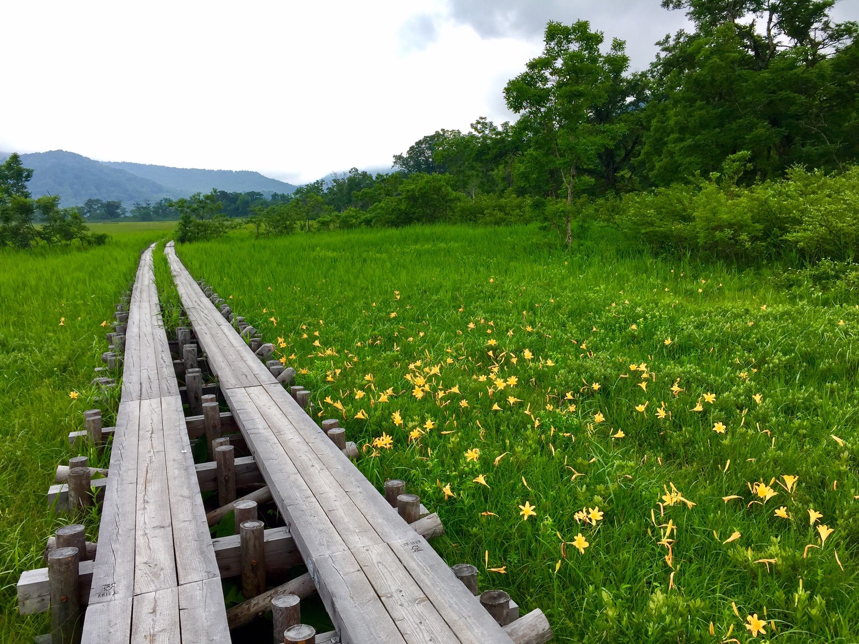 尾瀬ヶ原ハイキング なかみーさんの尾瀬 燧ヶ岳の活動データ Yamap ヤマップ