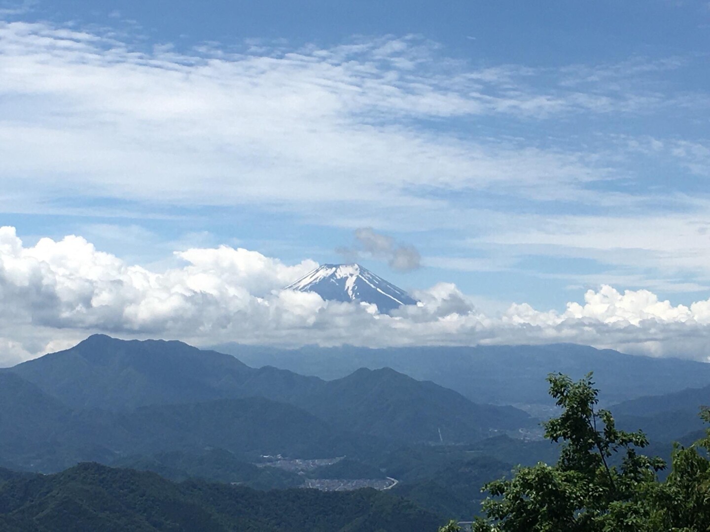 百蔵山〜扇山 / コモリンさんの百蔵山・扇山・権現山の活動データ | YAMAP / ヤマップ
