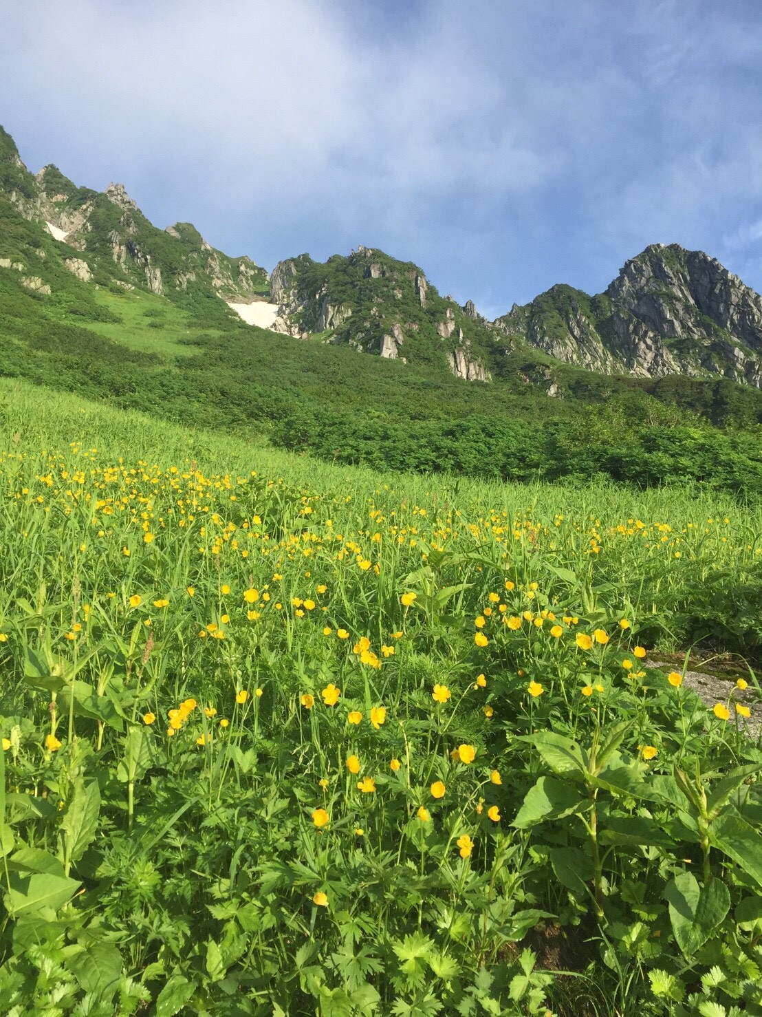 夏山チャレンジ第3弾 天空のお花畑へひとっ飛び ウォーキンさんの木曽駒ヶ岳 空木岳 越百山の活動日記 Yamap ヤマップ