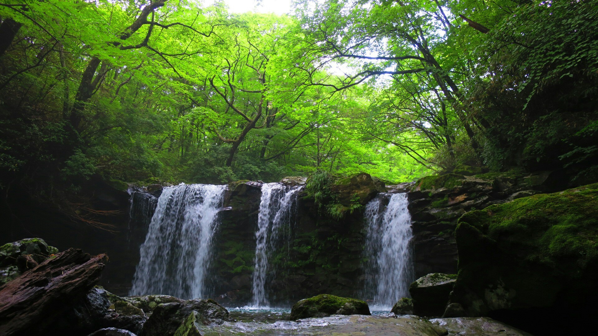 暮雨 くらぞめ の滝 でいさんの九重山 久住山 大船山 星生山の活動データ Yamap ヤマップ