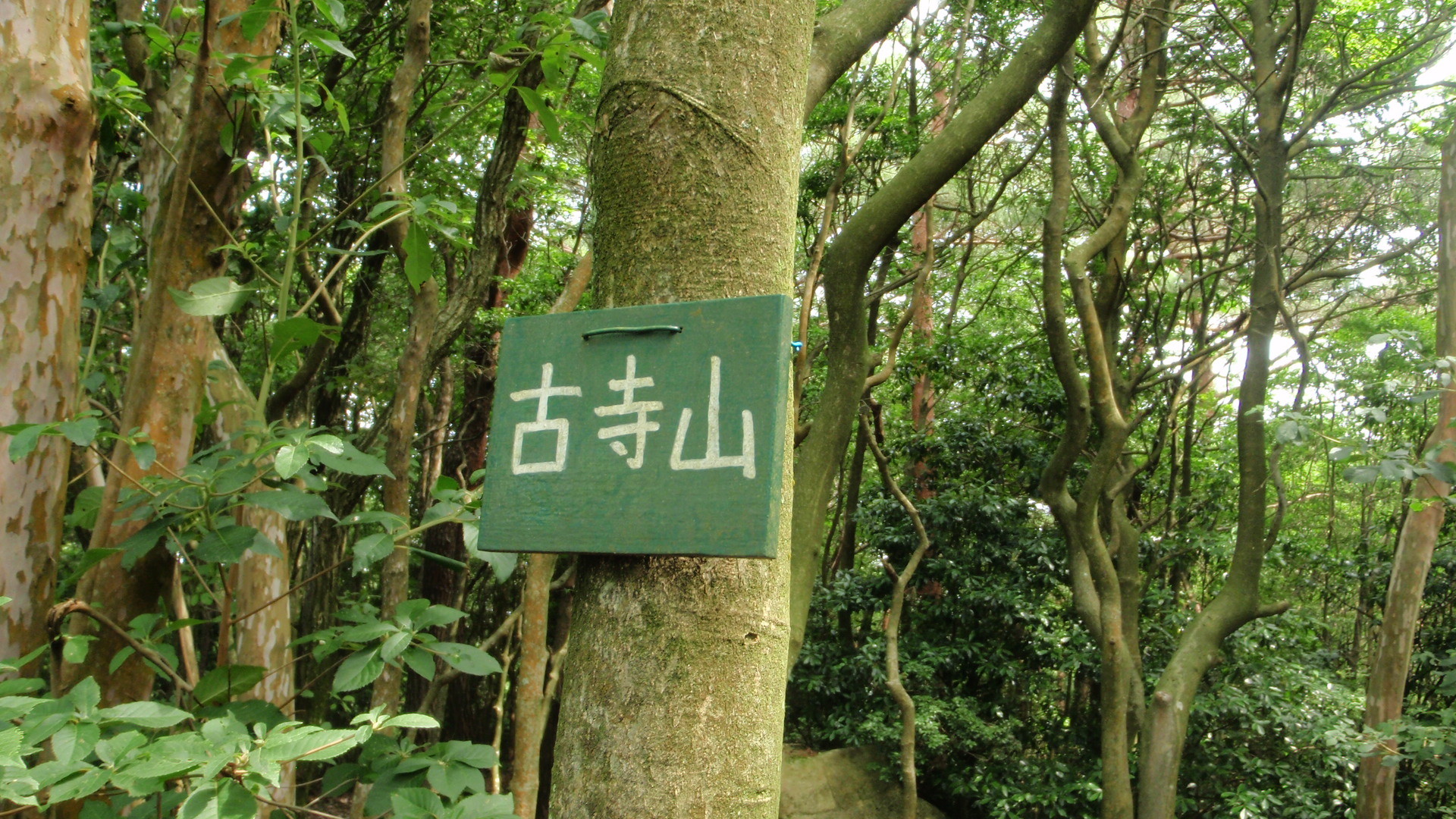 神鉄六甲から古寺山 シュライン アイスロードを経て六甲ケーブル下へ まく 彡さんの丹生山 帝釈山 シビレ山の活動データ Yamap ヤマップ