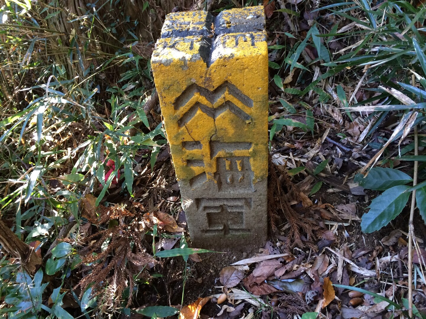 六浦 朝比奈切通し 番場ヶ谷 天園ハイキングコース 北鎌倉 鎌倉アルプス 大平山 天台山 の写真18枚目 18 道の途中にこんな海軍標石が有りま Yamap ヤマップ