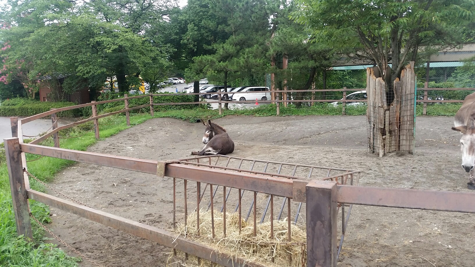 17年7月30日 友達と行くpart10 群馬サファリパーク みきのすけさんの妙義山 天狗岳 相馬岳の活動日記 Yamap ヤマップ