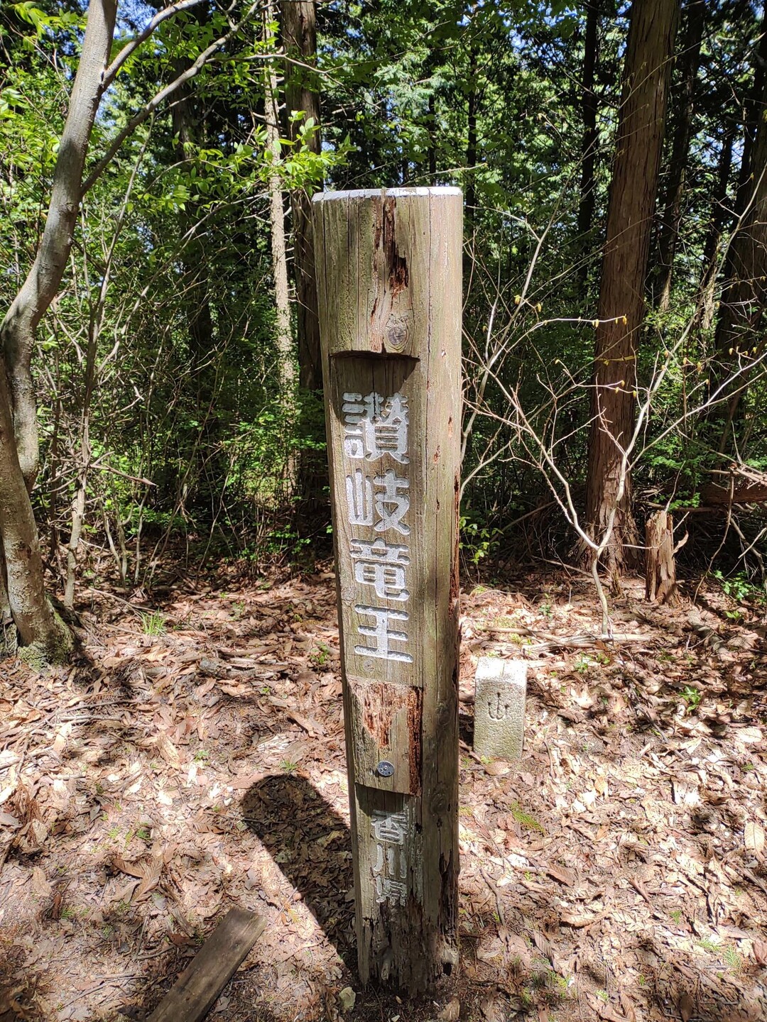 竜王山（阿波竜王）・竜王山（讃岐竜王） / あんぷくていさんの竜王山（讃岐山脈）・大川山の活動データ YAMAP / ヤマップ