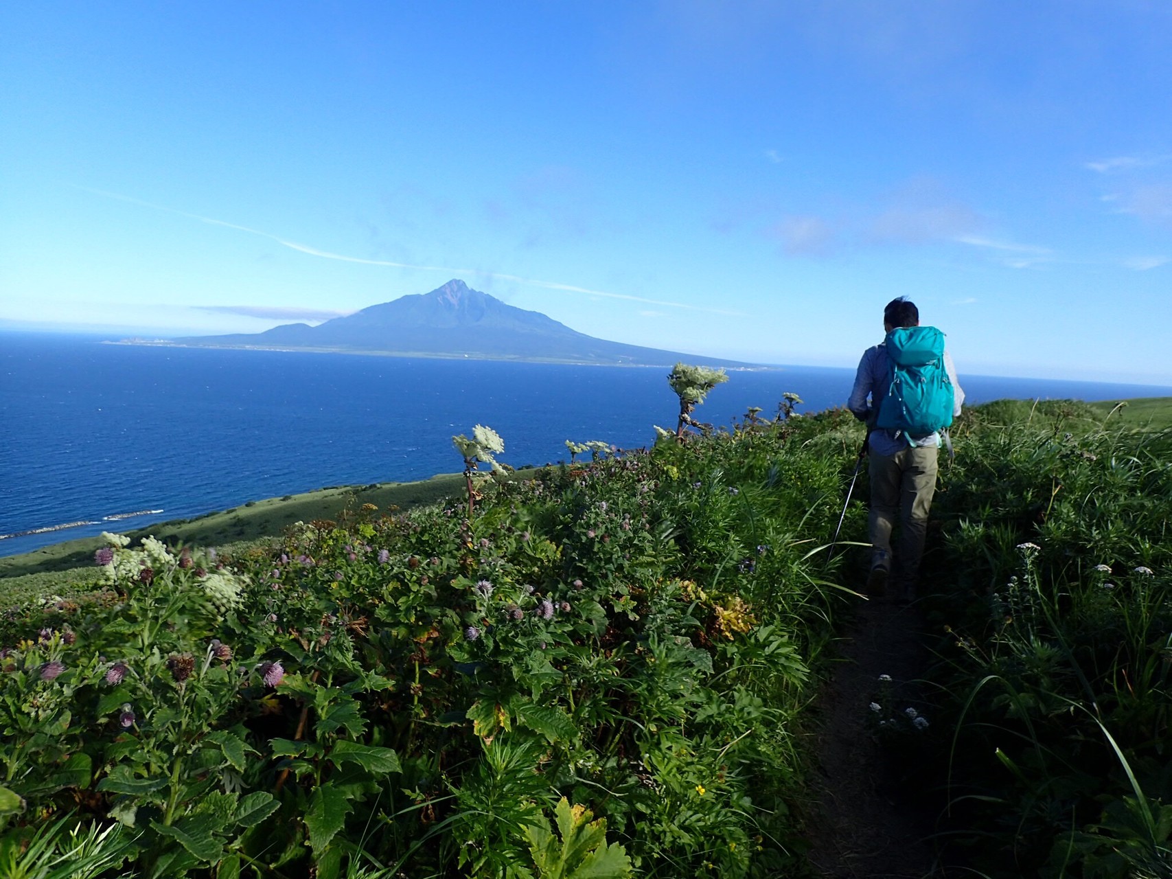 礼文岳 桃岩展望台 Yossyさんの礼文島の活動データ Yamap ヤマップ