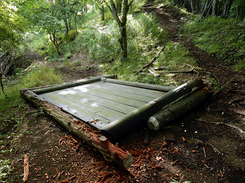支尾根だらけの道だった 山伏峠 西丸 東丸 大棚沢 トプ ガバチョさんの大室山 畦ヶ丸山 菰釣山の活動日記 Yamap ヤマップ