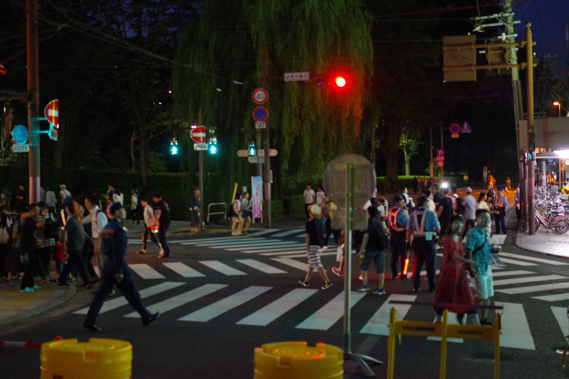 第４０回盛岡さんさ踊り 岩手県 盛岡市 ｊｕｎさんの盛岡市の活動データ Yamap ヤマップ