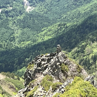 狸に見えないこともない😯
