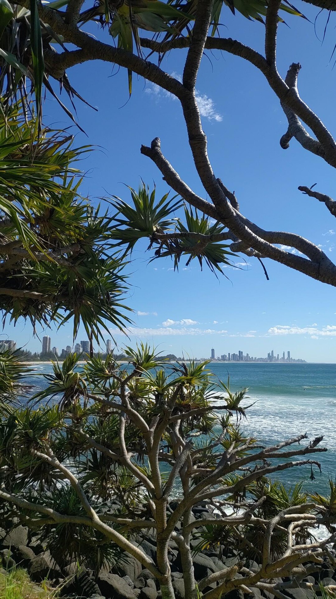 Burleigh head :Oceanview track / Tomieさんのウォーキングの活動データ | YAMAP / ヤマップ