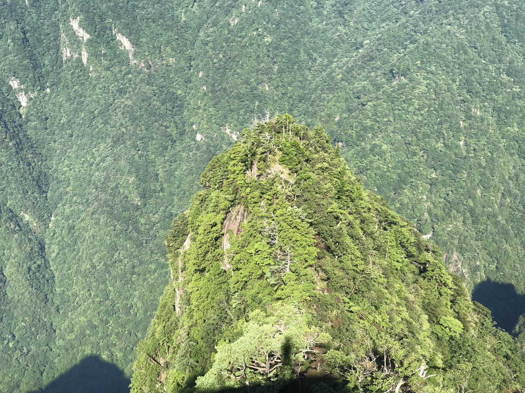 大台ヶ原ハイキング 大蛇嵓 だいじゃぐら 熊次郎さんの大台ヶ原山 日出ヶ岳 大杉谷の活動データ Yamap ヤマップ