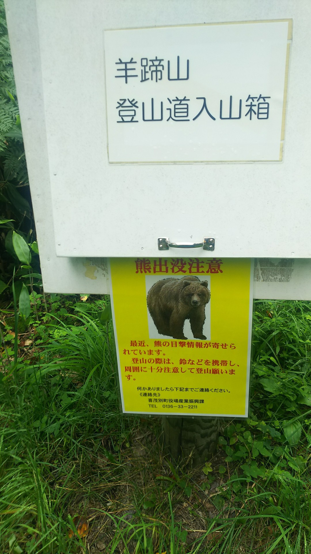 雨の羊蹄山 熊 が ﾛ ﾉ ﾉ コロ助なりさんの羊蹄山 蝦夷富士 の活動データ Yamap ヤマップ