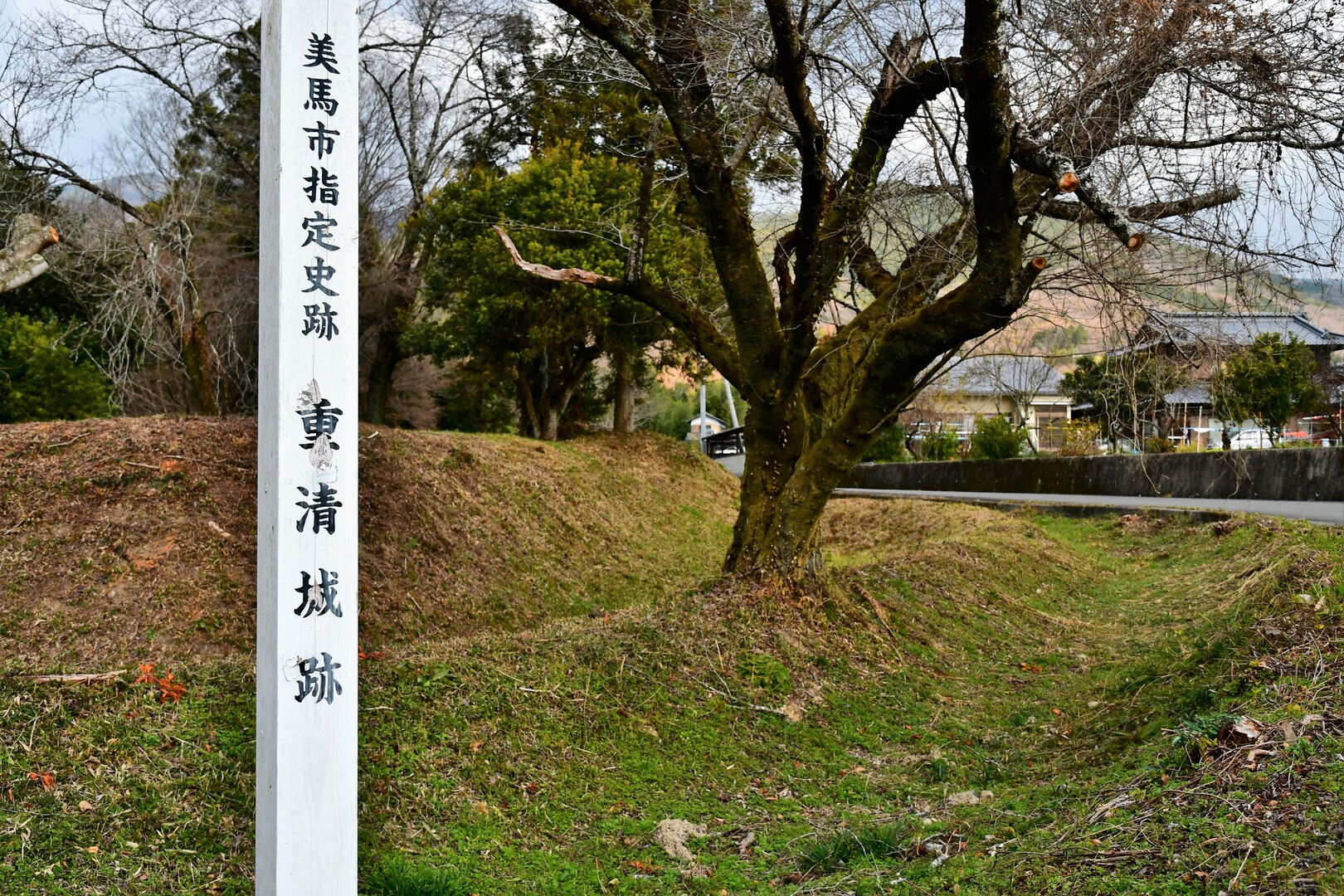 阿波・重清城 / 落武者さんのウォーキングの活動データ YAMAP / ヤマップ