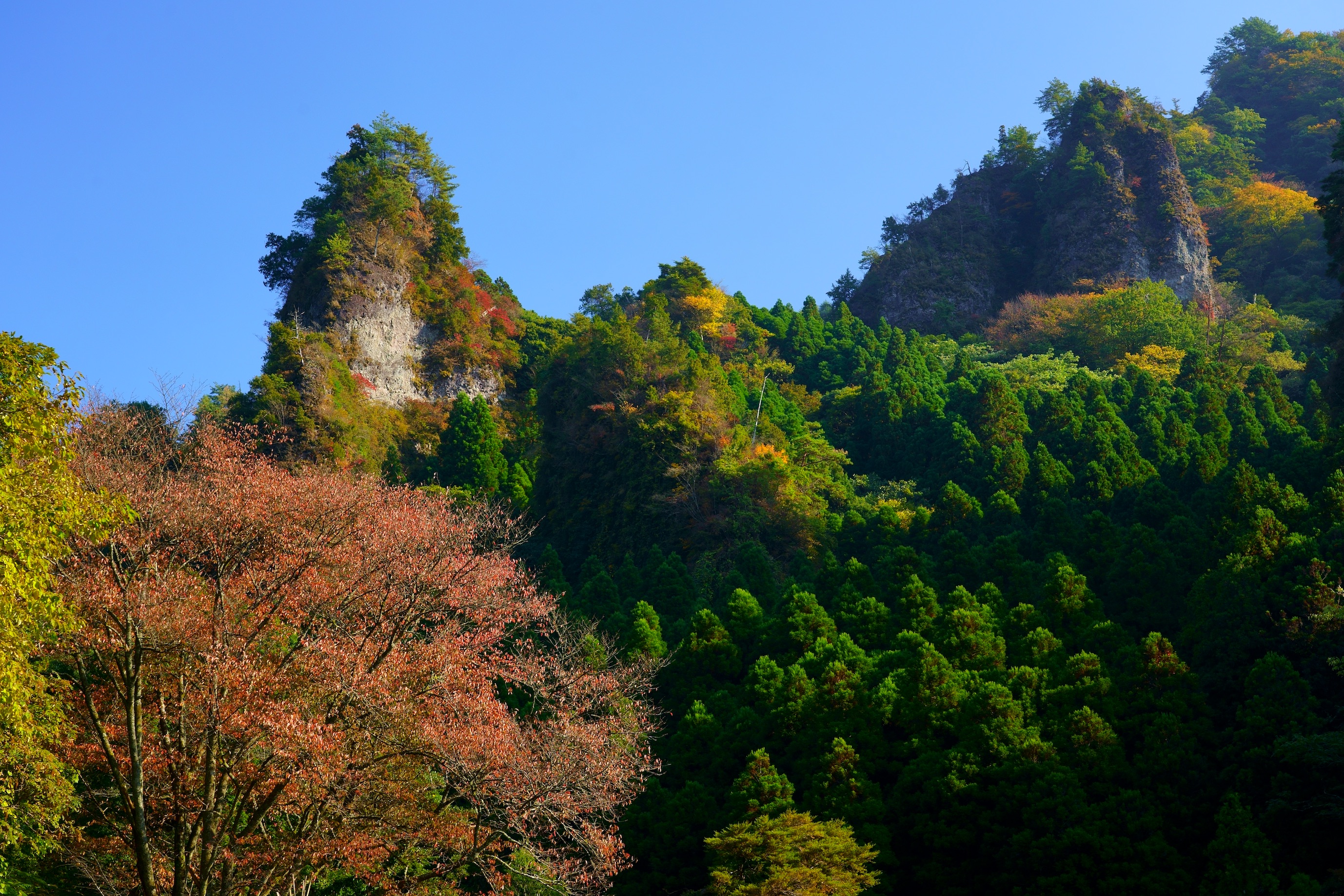 深倉峡 10 29 Masamasaさんの釈迦ヶ岳 大日ヶ岳 岳滅鬼山の活動データ Yamap ヤマップ